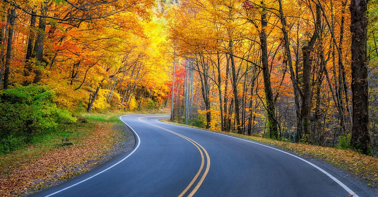 How leaf peeping (and movie tourism) drive autumnal visitors to New England destinations