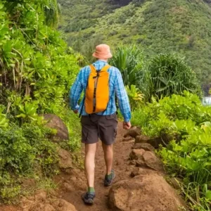 How Kauai Is Using Data to Reimagine Greener Transportation for the Island