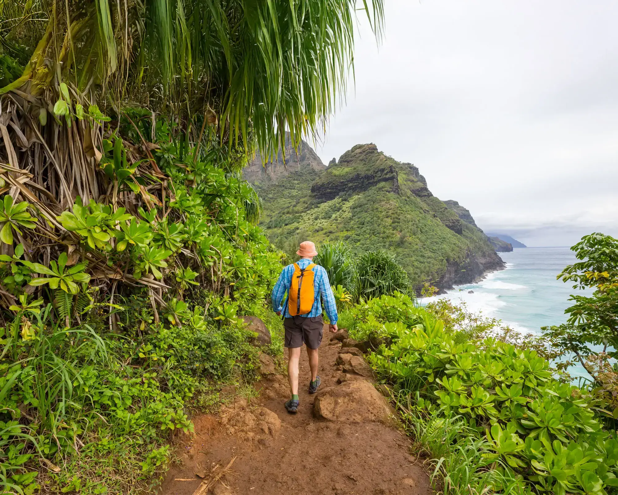 kauai-case-study